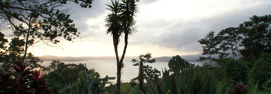 Ceiba Tree Lodge - Nuevo Arenal Costa Rica