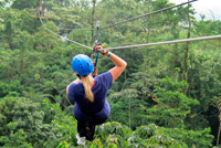 Canopy Tour